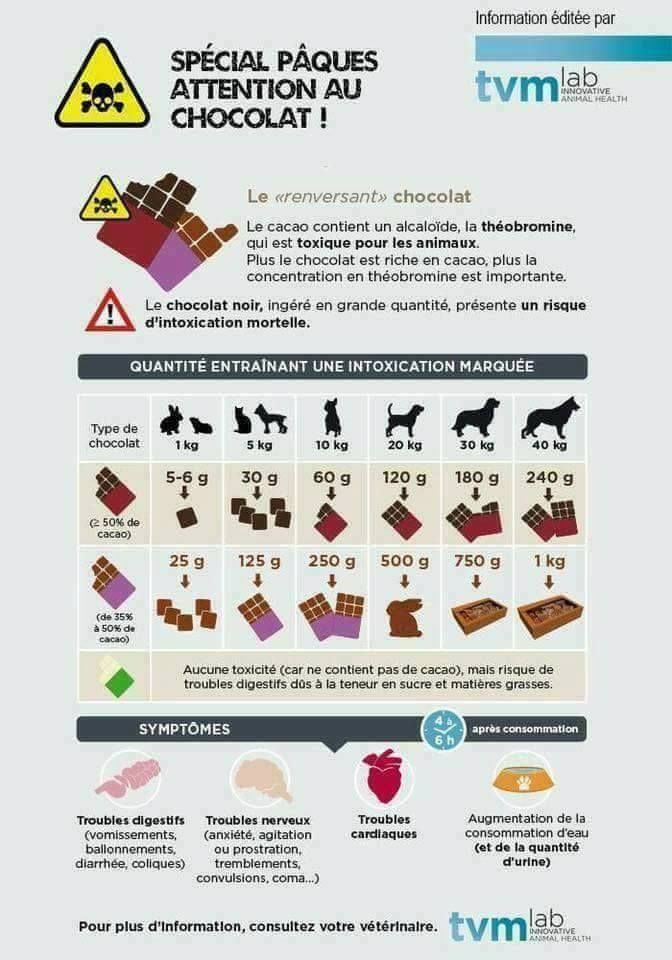 Accueil Elevage Du Grisoustiny World Eleveur De Chiens