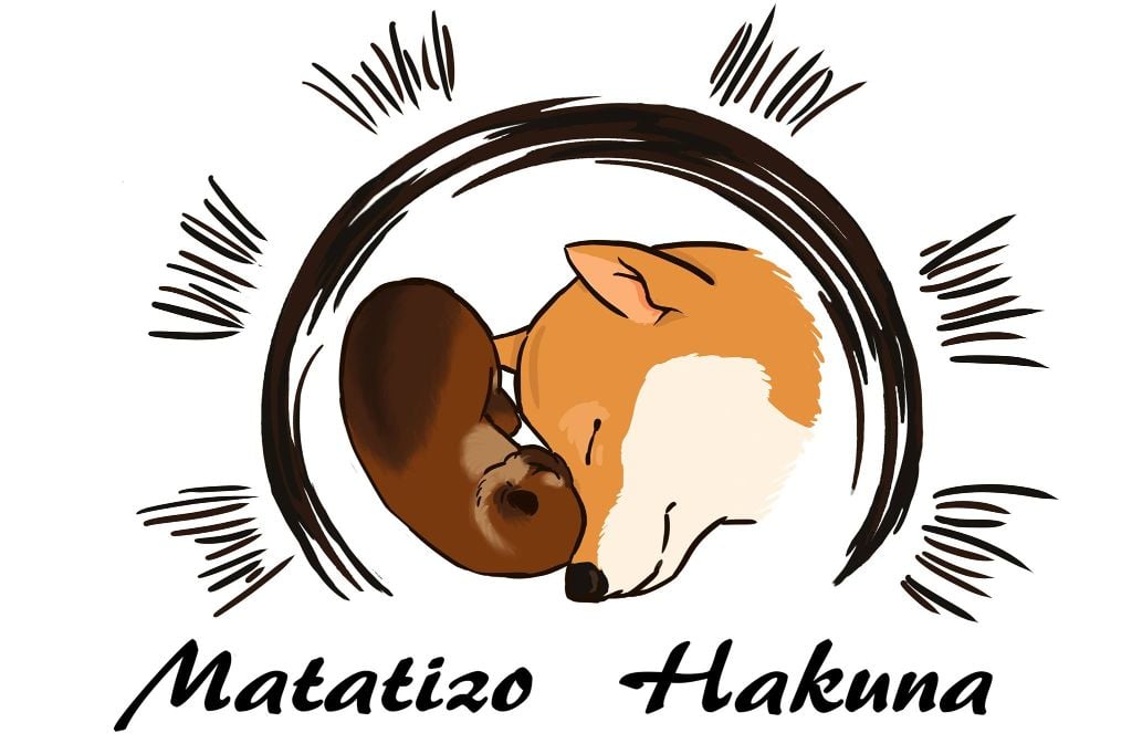 Accueil Elevage De Matatizo Hakuna Eleveur De Chiens De