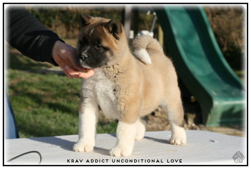 Krav Addict Unconditional love