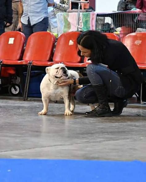 Lady million De Castelfranco Veneto