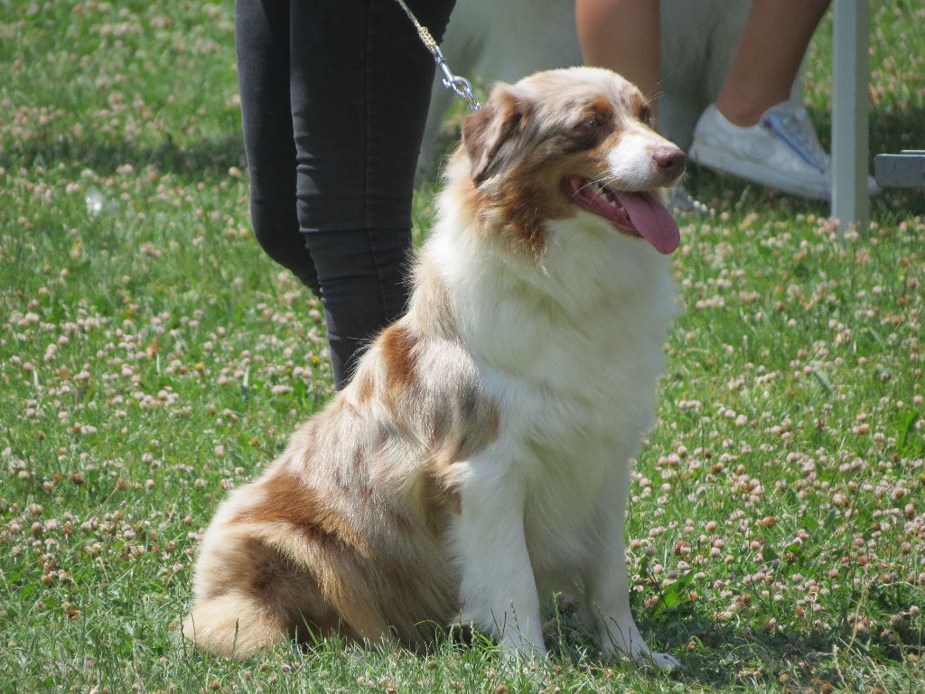 Marley Des Terres De L'Argentelle