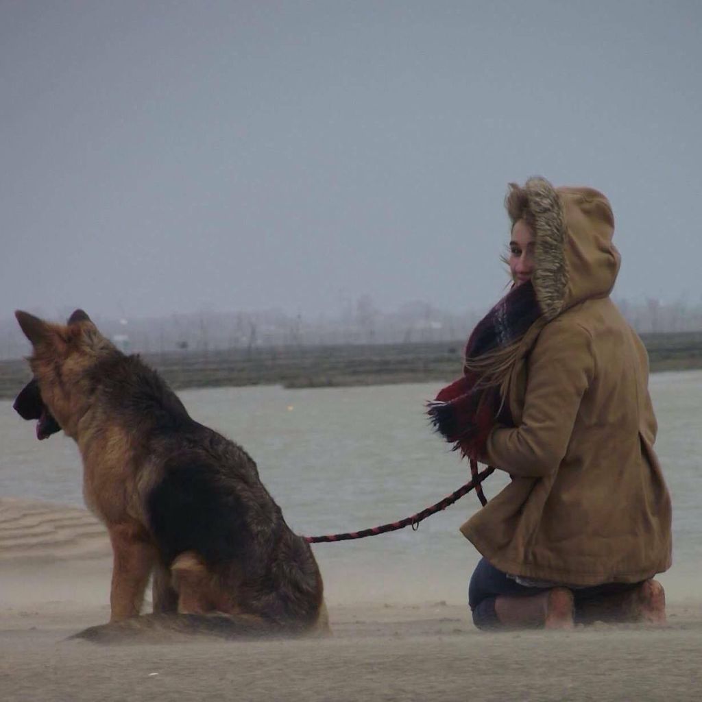 Accueil Elevage Des Perles De Lestran Eleveur De Chiens