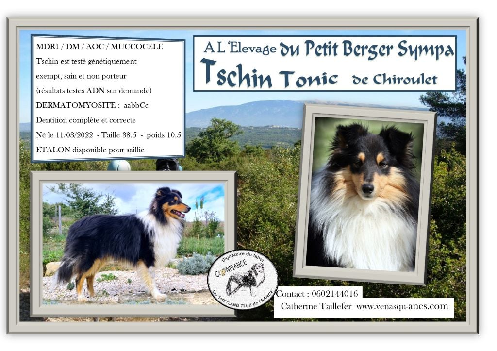 Tschin-tonic  De chiroulet