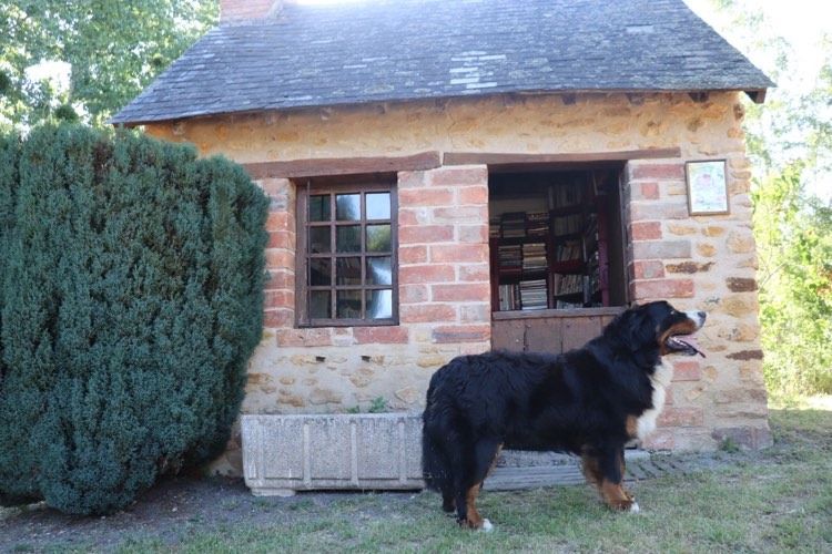 Accueil - Elevage Du Verger Des Beaurepaires - eleveur de chiens 