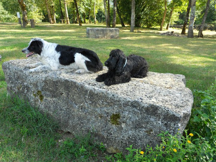 Fougo du Domaine de Kérarzic Vilin