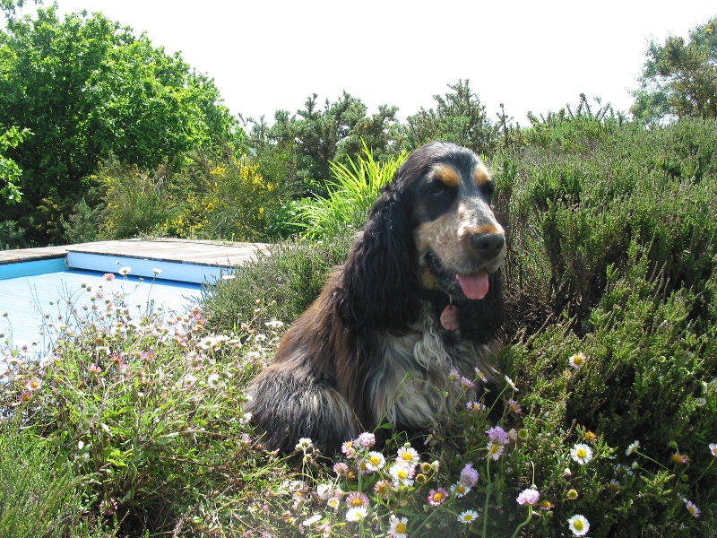 Charly du Domaine de Kérarzic Vilin