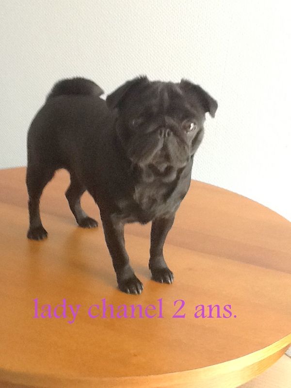 Lady chanel De la colline maya