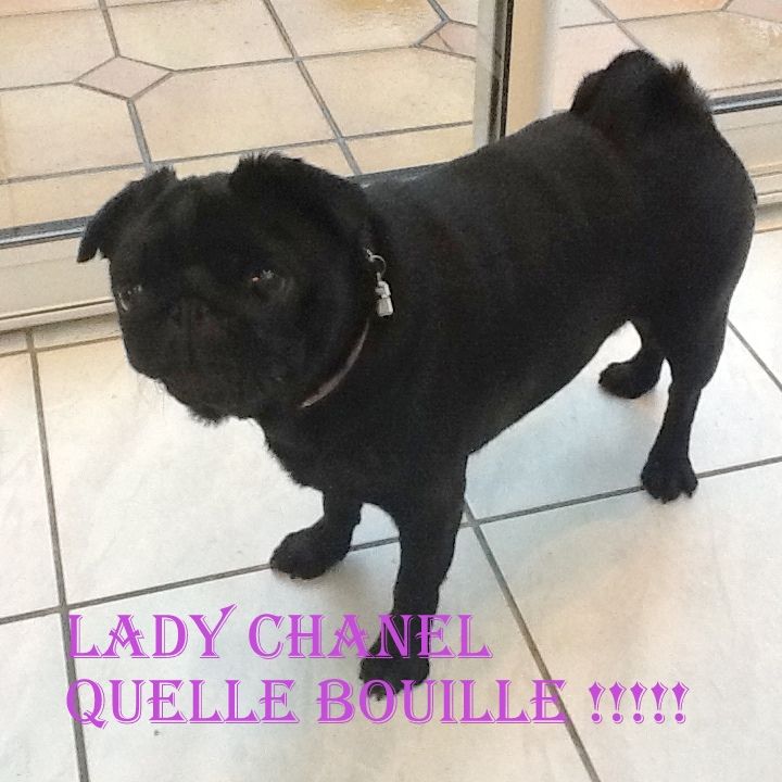 Lady chanel De la colline maya