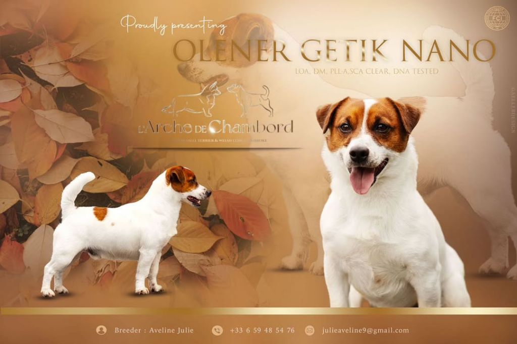 olener getik Nano