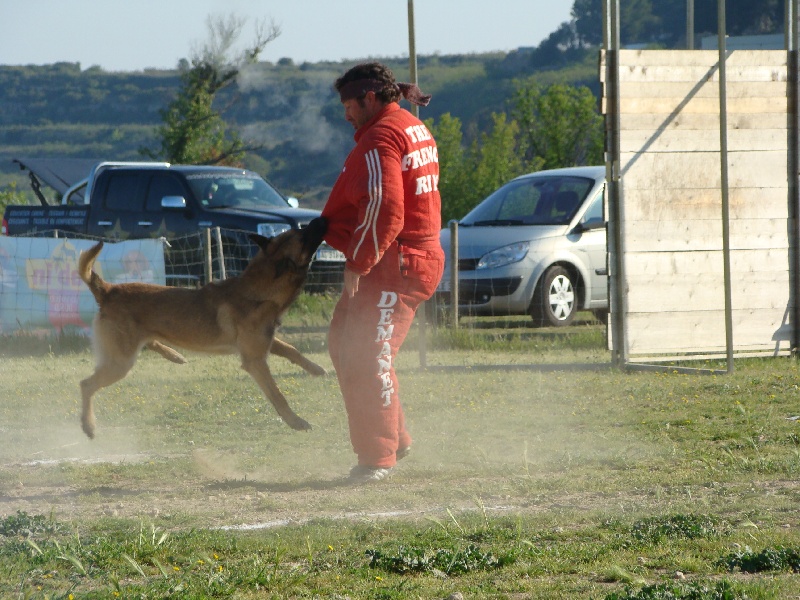 Cirko du Mas des Crozes