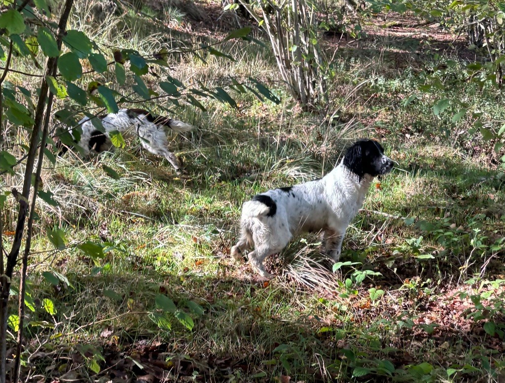 Rustine Des Terres Vives