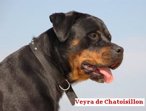 Veyra De chatoisillon