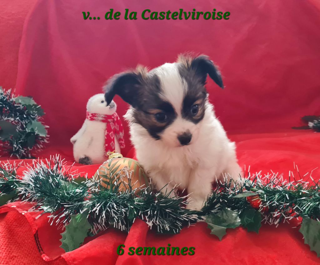 Valdo De la castelviroise