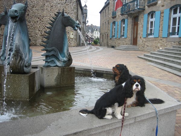 Scuba Des Frimousses Calines