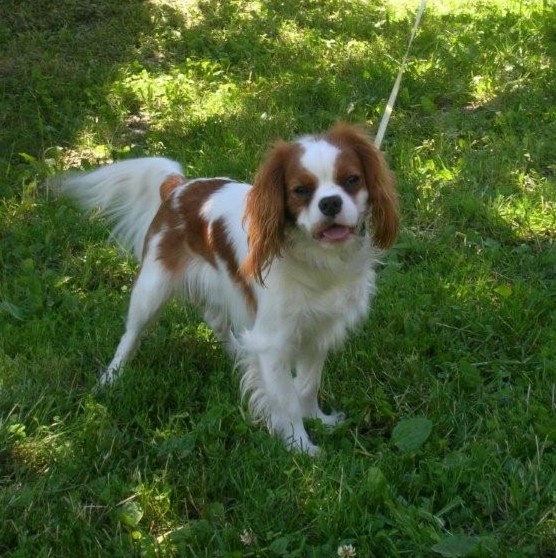 Bucky Des Frimousses Calines