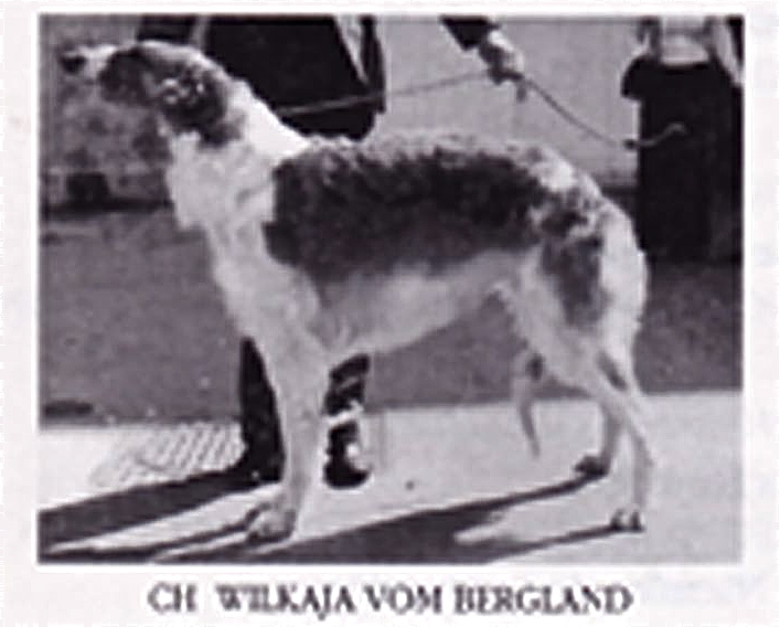 CH. Wilkaja Vom bergland