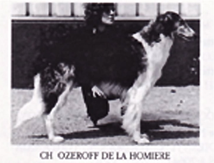 CH. Ozeroff De la Homière