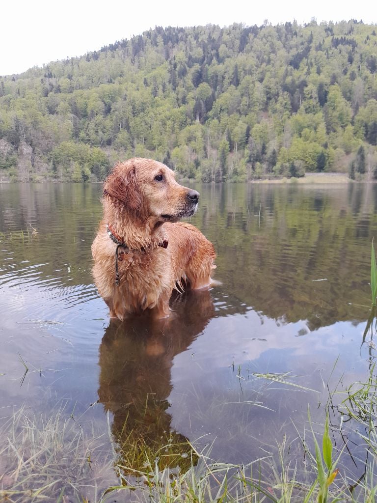 Rimouski Du mazage de mascayenne