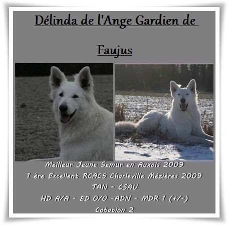 Délinda de l'ange Gardien de Faujus