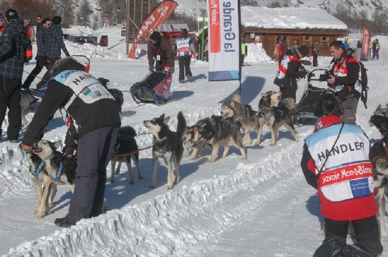 Magic Wolf Femund ( dite fripouille)