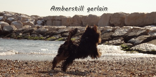 Amberstill Guerlain