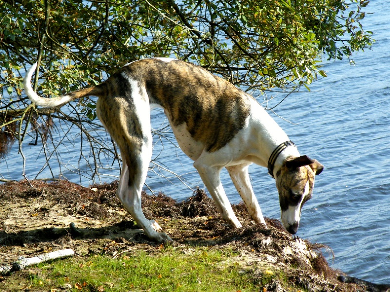 Don't disturb von Hoëhenzoller