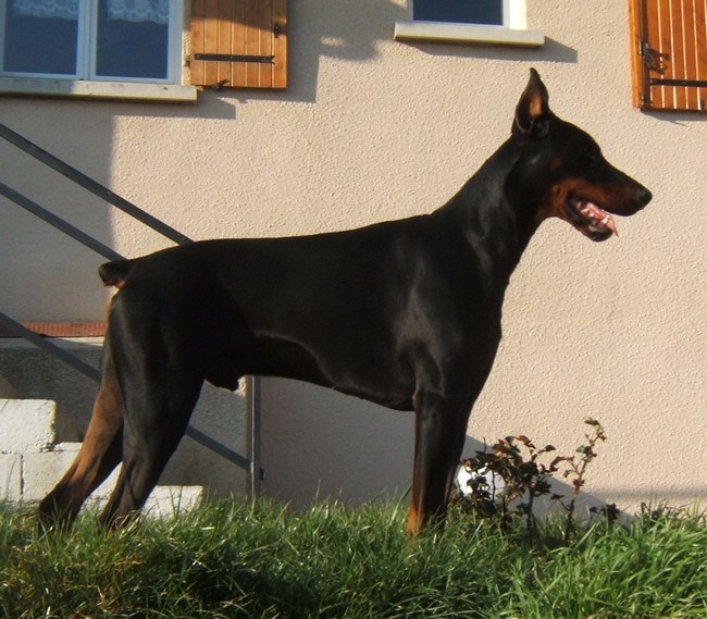 Vito-ridge De la cour de l'eau vive