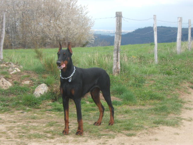 Vito-ridge De la cour de l'eau vive