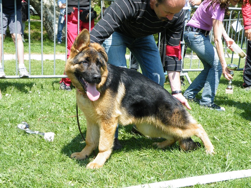 Enzo De l'hacienda del matador