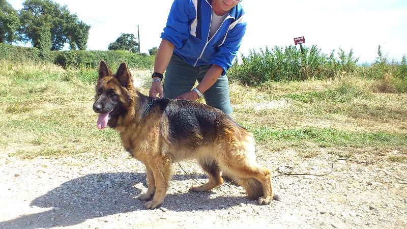 Gilda De l'hacienda del matador