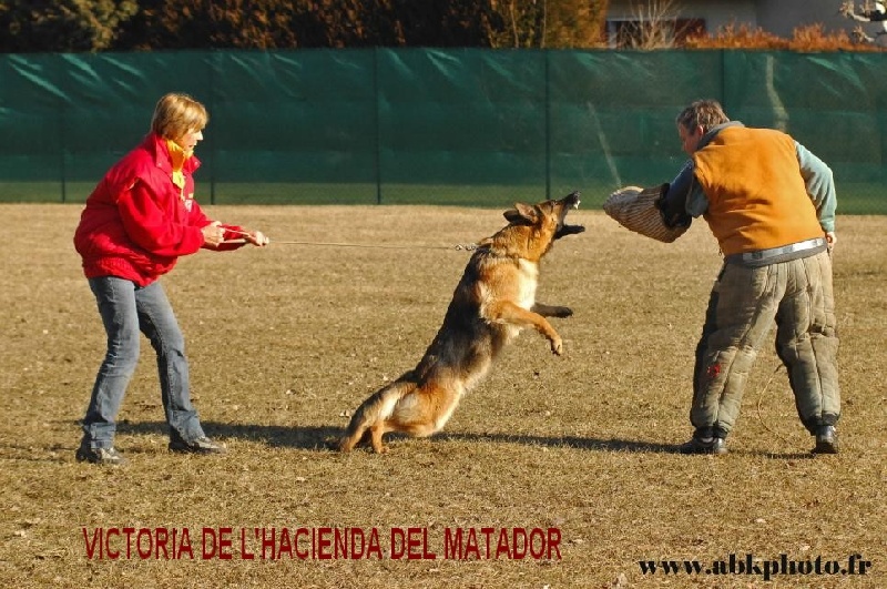 Victoria De l'hacienda del matador