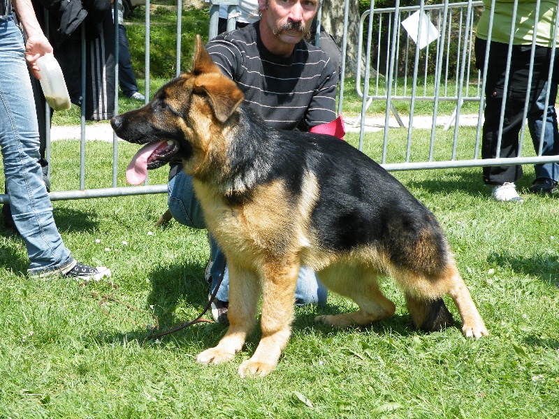 Enzo De l'hacienda del matador