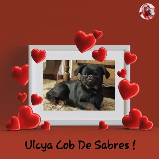 Ulcya de Sabres