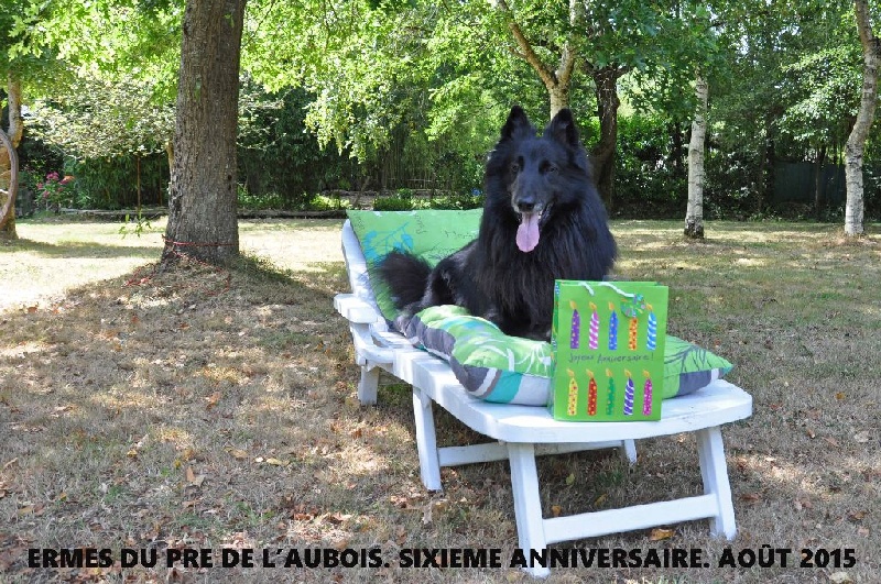 Ermès du pré de l'aubois