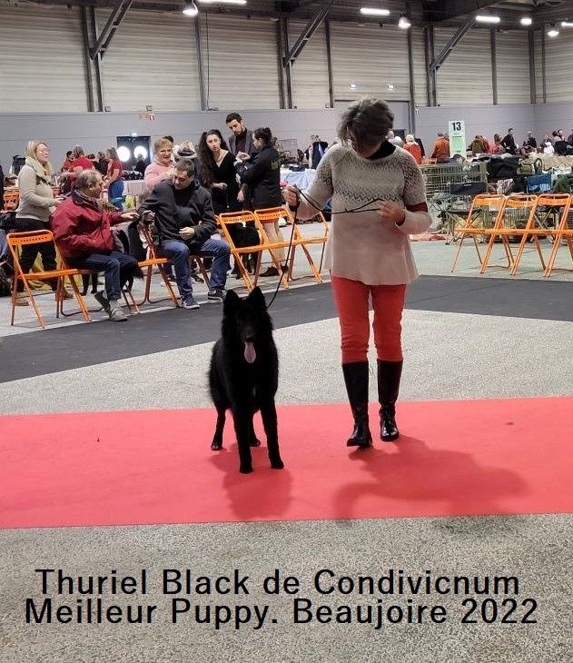 CH. Thuriel black De condivicnum