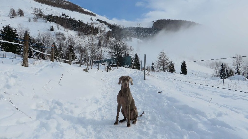 Ioumi De l'ecrin des hauts de france