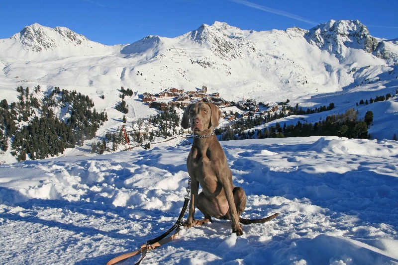 Ioumi De l'ecrin des hauts de france