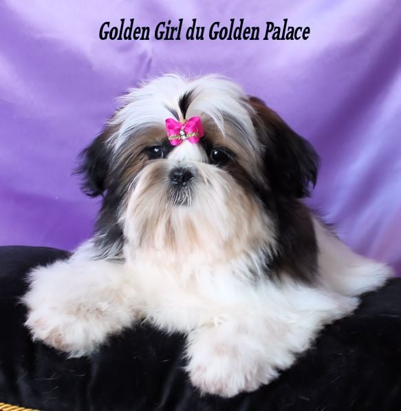 Golden girl du Golden Palace