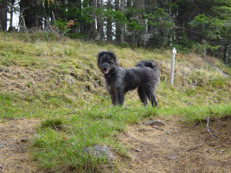 Bonnie de La Petite Ferme de Wihr