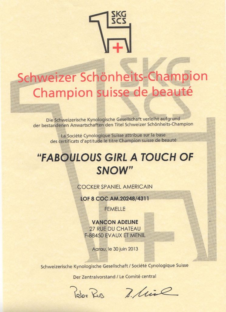 CH. A touch of snow Fabulous girl