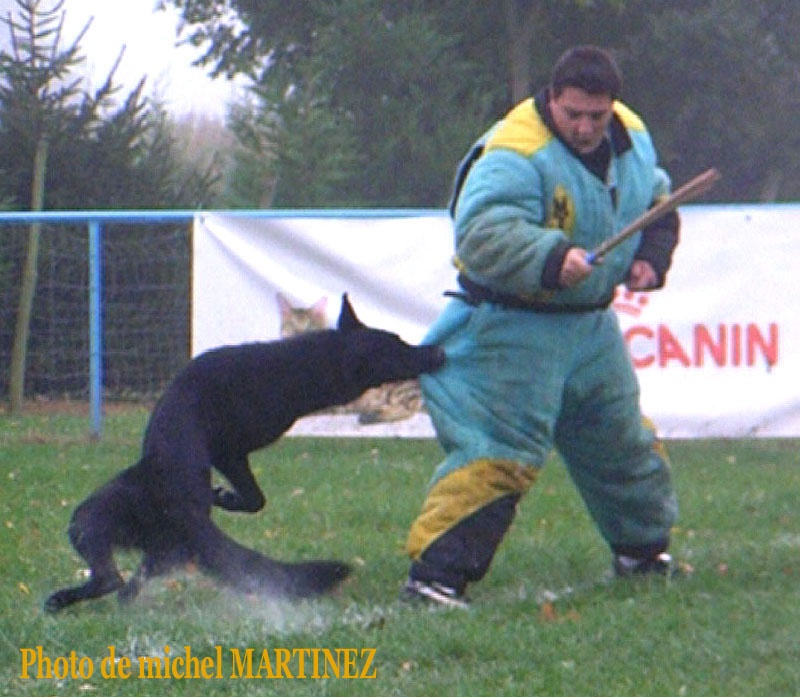 Tomy de la Horde Valnégrienne