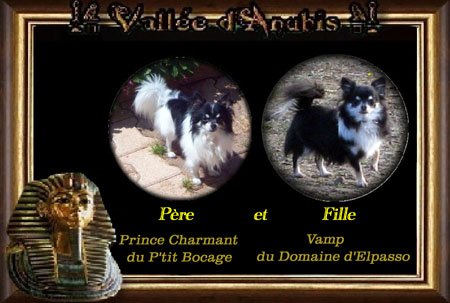 Prince charmant Du p'tit bocage