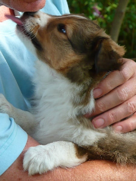 Dakota blond of Wind River