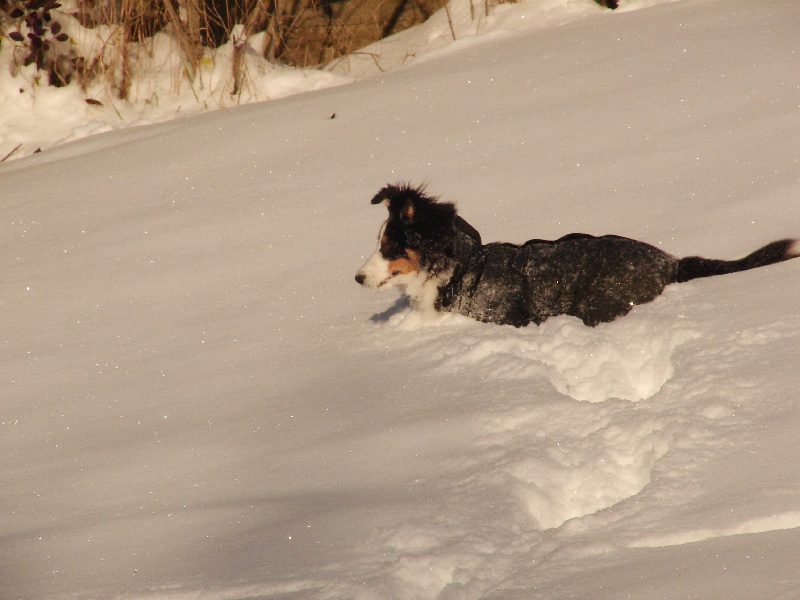 Endjy black of Wind River