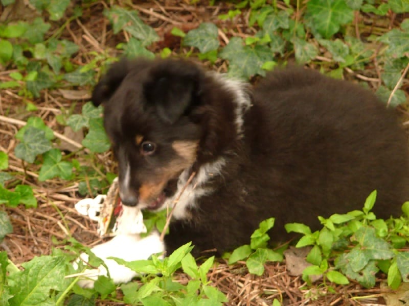 Eliott black of Wind River