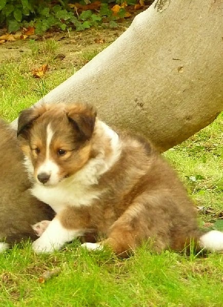 Dakota blond of Wind River