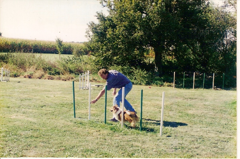 Jaya de l'Orée du chêne