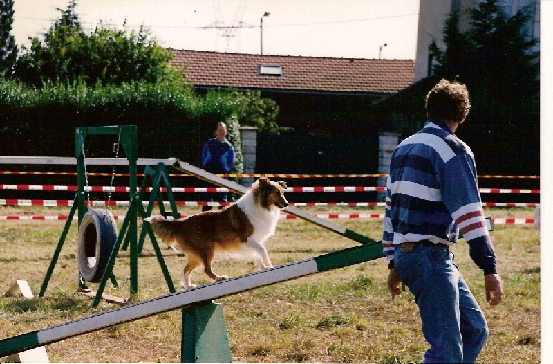 Jaya de l'Orée du chêne