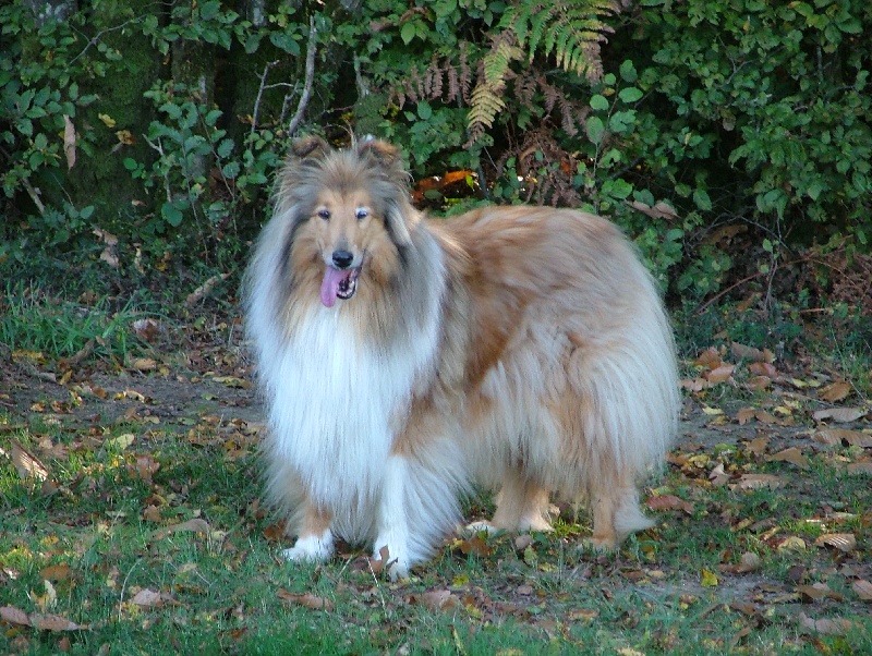 CH. Oxane Du Chemin des Randonnées