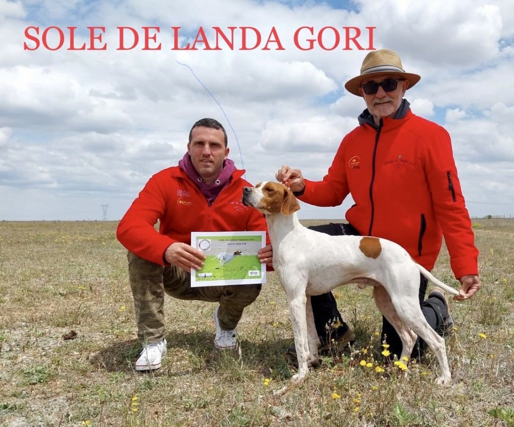 Sole de landa gori